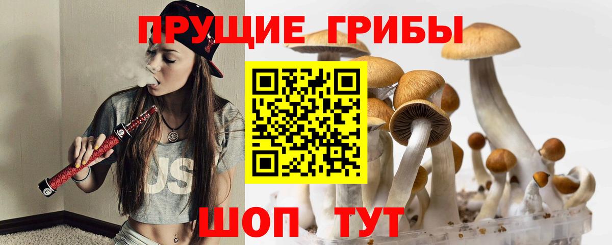 Галлюциногенные грибы прущие грибы  Вход с VPN  Татарск 